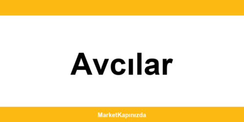 File Market Avcılar şubeleri ve iletişim bilgileri