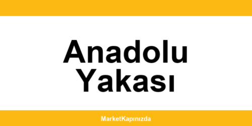 File Market Anadolu Yakası şubeleri ve iletişim bilgileri