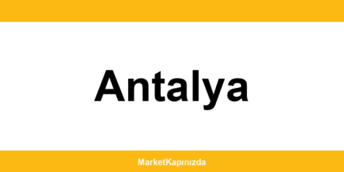 File Market Antalya şubeleri ve iletişim bilgileri