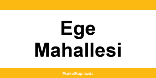 File Market Ege Mahallesi şubeleri ve iletişim bilgileri